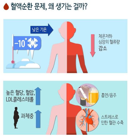 혈액순환 안 되는 이유? 혈액순환에 좋은 음식과 영양제