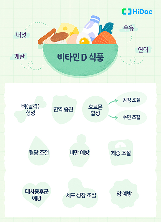 비타민D 햇빛 합성 과정