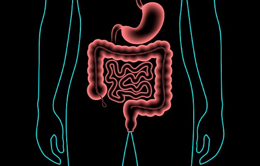 다양한 질환을 부르는 변비를 예방하려면 생활습관부터 개선해야 한다|출처: 클립아트코리아
