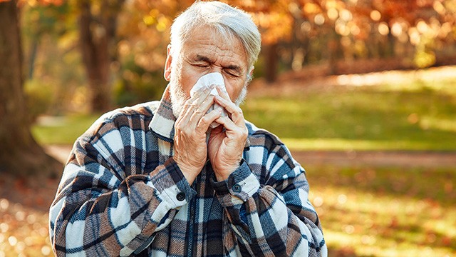 가을이면 알레르기 비염 환자가 늘어난다|출처: 게티이미지뱅크
