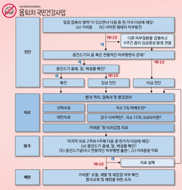 옴 진단 및 치료 알고리즘 | 출처: 대한피부과학회 옴퇴치 국민건강사업