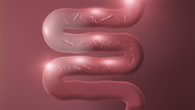 프로바이오틱스의 일종인 낙산균. 장 건강을 다양한 방식으로 돕는다|출처: 클립아트코리아