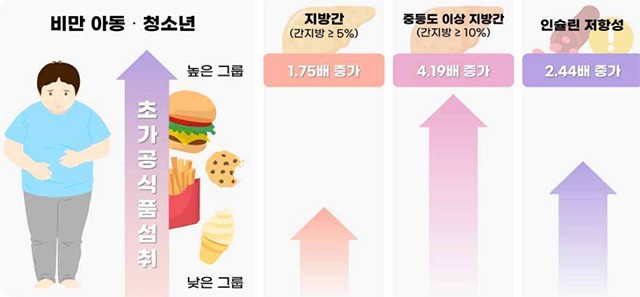초가공식품 섭취 수준에 따른 대사이상 유병 위험｜출처: 질병관리청
