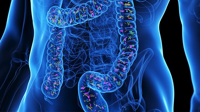 낙산균은 프로바이오틱스의 일종으로 오랫동안 그 효능과 효과, 안정성을 인정받은 균주다|출처: 클립아트코리아