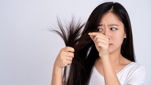 머리카락이 손상되면 윤기와 탄력이 저하되고 끝이 갈라진다|출처: 게티이미지뱅크