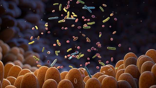 장내 미생물의 균형이 깨지면 여러 건강 문제가 발생할 수 있다 ㅣ출처: 게티이미지뱅크