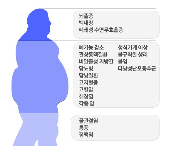 비만으로 인한 질환|출처: 하이닥