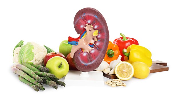 신장은 한 번 손상되면 회복이 어려워 선제적인 관리가 중요하다|출처: 게티이미지