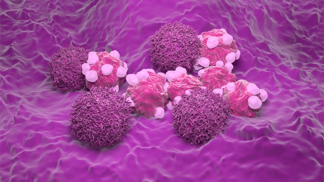 자궁경부암의 가장 큰 원인은 인유두종바이러스 감염이다 | 출처: 클립아트코리아