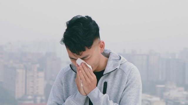 미세먼지는 기도를 거쳐 폐까지 도달해 각종 질환을 유발한다 | 출처: 클립아트코리아