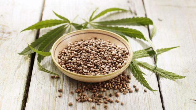 대마씨는 햄프씨드라는 이름으로도 유통된다｜출처: 클립아트코리아