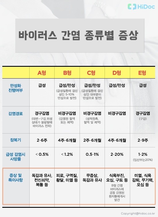 간염의 종류와 증상｜출처: 하이닥