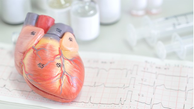 심장 초음파 검사는 부정맥, 심부전 등의 원인을 파악하는 데 유용한 검사법이다|출처: 게티이미지뱅크