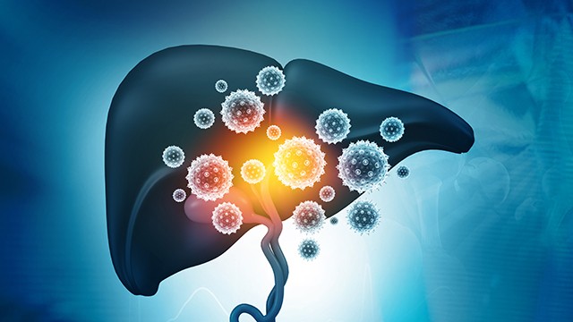 UDCA가 코로나19 감염 및 중증화 위험을 낮춘다는 다수의 연구 결과가 있다ㅣ출처: 게티이미지코리아