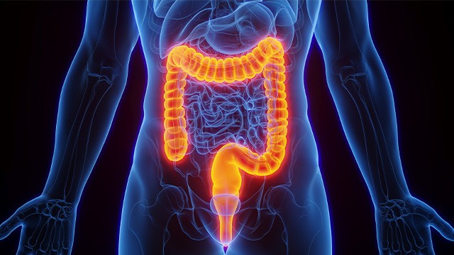 장은 ‘제2의 뇌’로 불릴 정도로 인체 건강에 중요한 역할을 한다|출처: 클립아트코리아