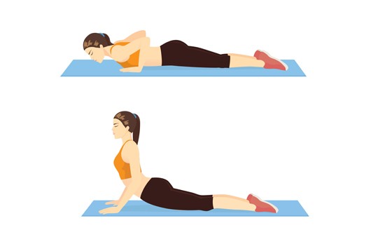 ﻿코브라 스트레칭(Cobra Stretch)｜출처: 게티이미지뱅크