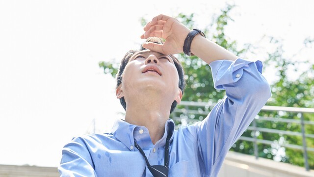 출처 | 게티이미지뱅크