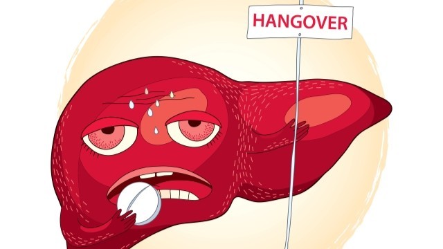 숙취 해소의 핵심은 지친 간의 해독능력을 높이는 데 있다｜출처: 게티이미지뱅크