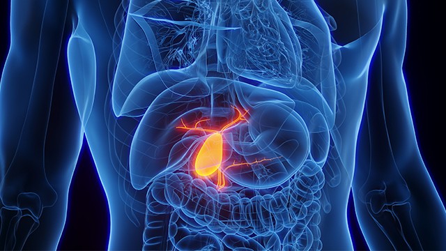 담낭용종은 전체 성인의 약 5%에서 발견될 정도로 흔한 병변이다|출처: 클립아트코리아