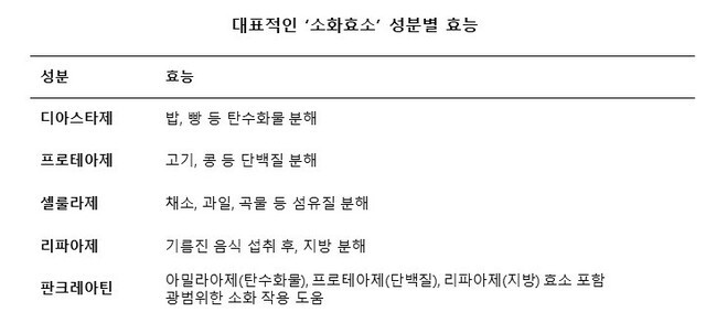 소화효소 성분별 효능 ｜출처: 하이닥