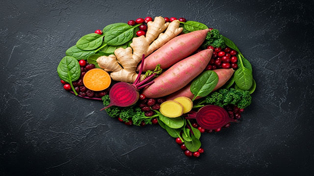 뇌 건강 개선에 도움이 되는 가을 식재료를 소개한다｜Gemini