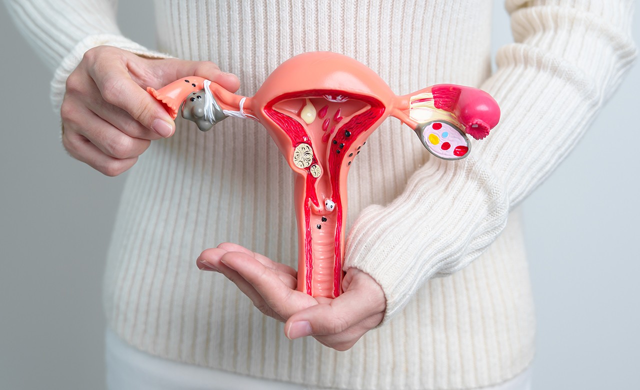 면역력이 떨어지면 HPV가 소멸하지 않고 체내에 오래 남는 경우가 많다┃출처: 게티이미지뱅크