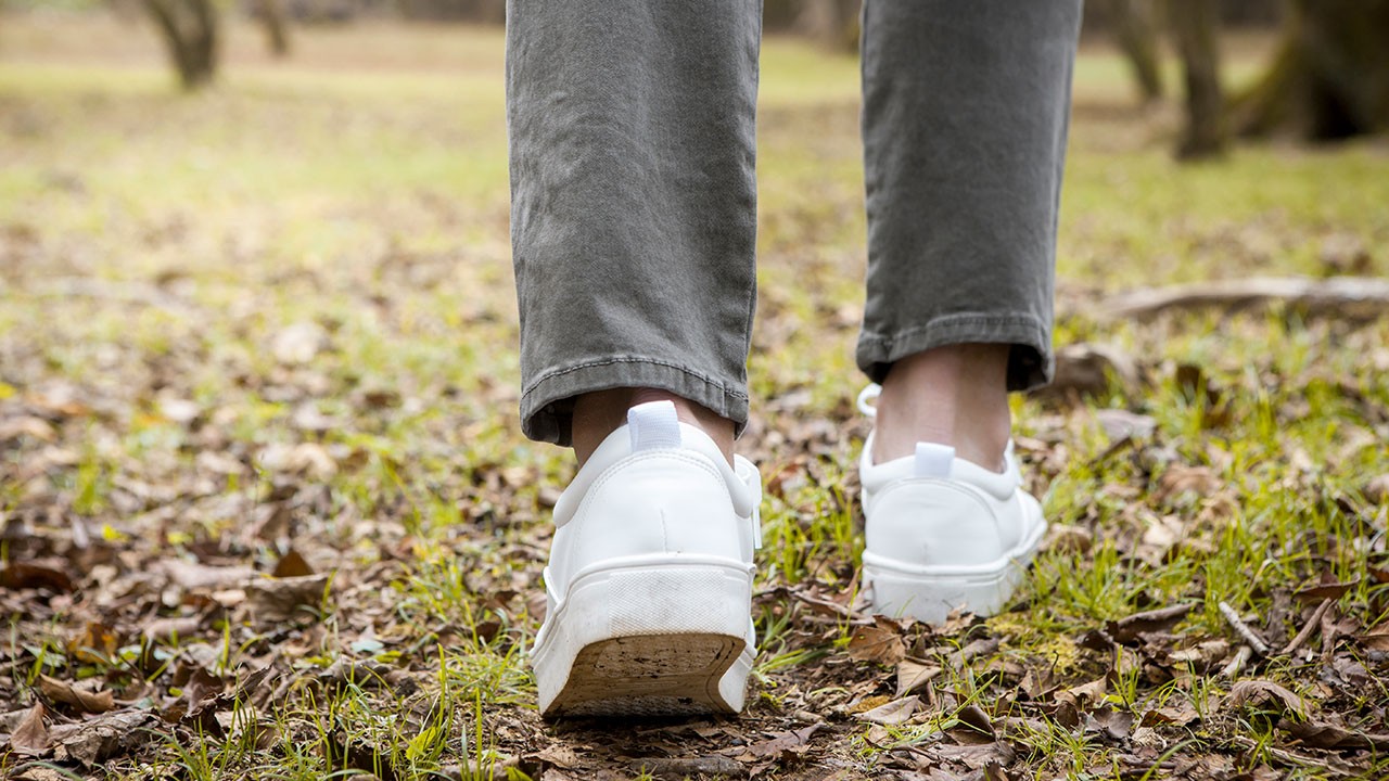 자연에서 즐기는 가벼운 산책은 스트레스 완화에 도움을 준다｜출처: 클립아트코리아