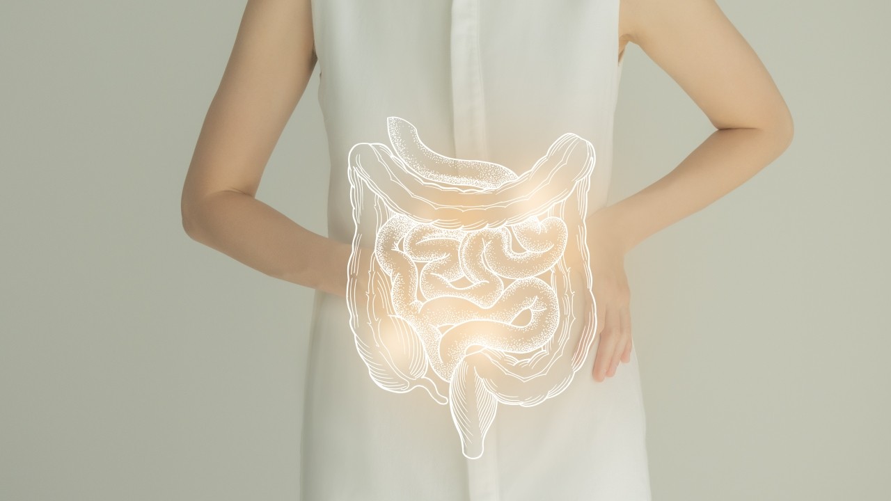 버섯을 섭취하면 장 건강 개선과 면역력 증강에 도움이 된다｜출처: 게티이미지뱅크