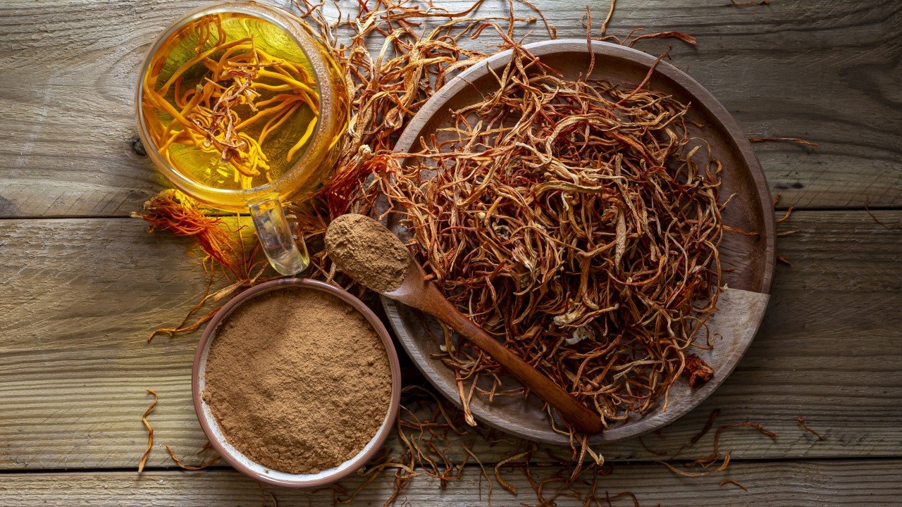 동충하초에는 스트레스 회복에 도움 되는 '어댑토젠' 성분이 풍부하다｜출처: 클립아트코리아