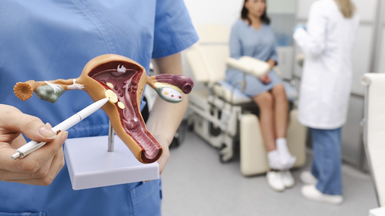 1cm 정도의 작은 근종은 대부분 추적 관찰하지만, 환자의 상태에 따라 치료가 필요할 수도 있다｜출처: 클립아트코리아