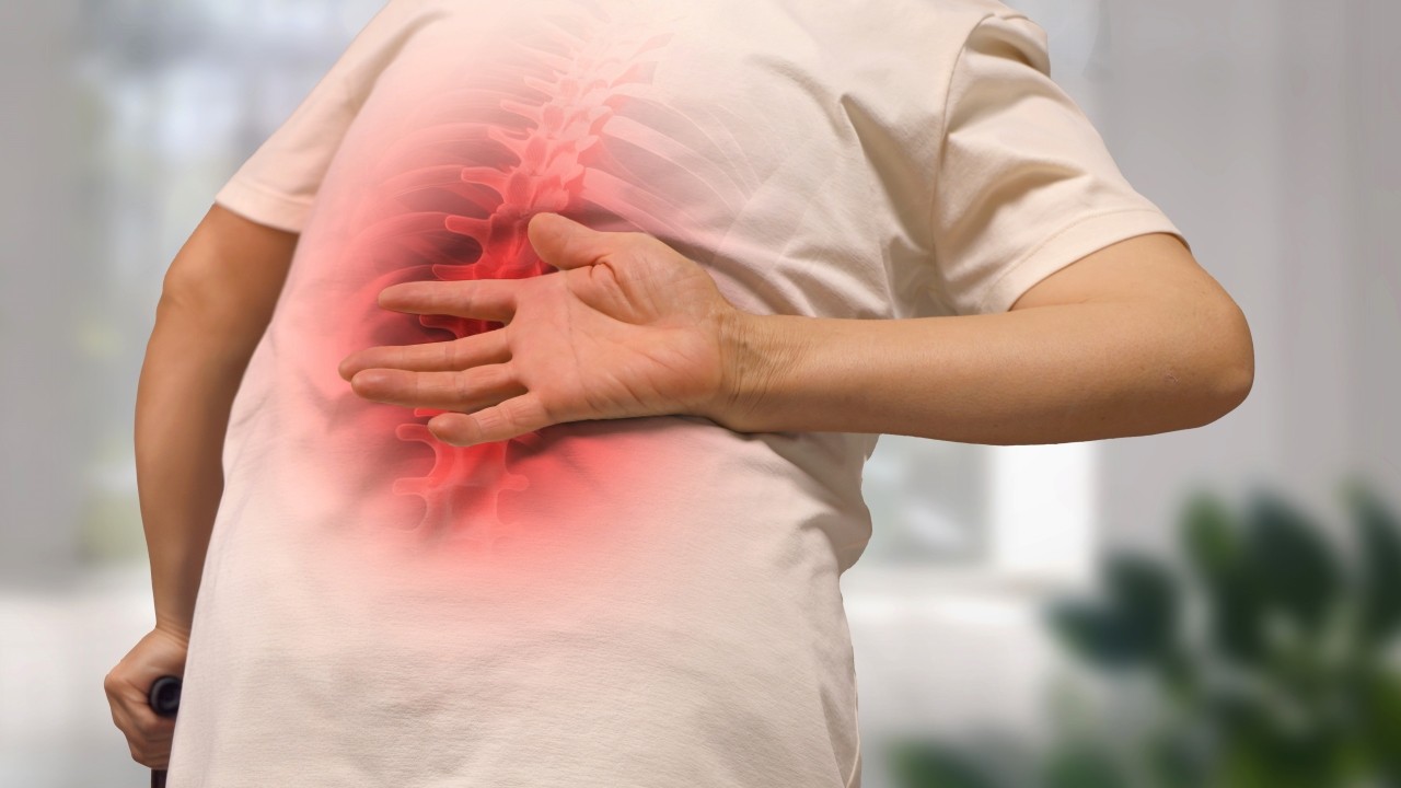 ﻿체지방에서 얻은 줄기세포를 활용해 골다공증성 척추 골절을 치료할 수 있는 가능성이 열렸다｜출처: 클립아트코리아