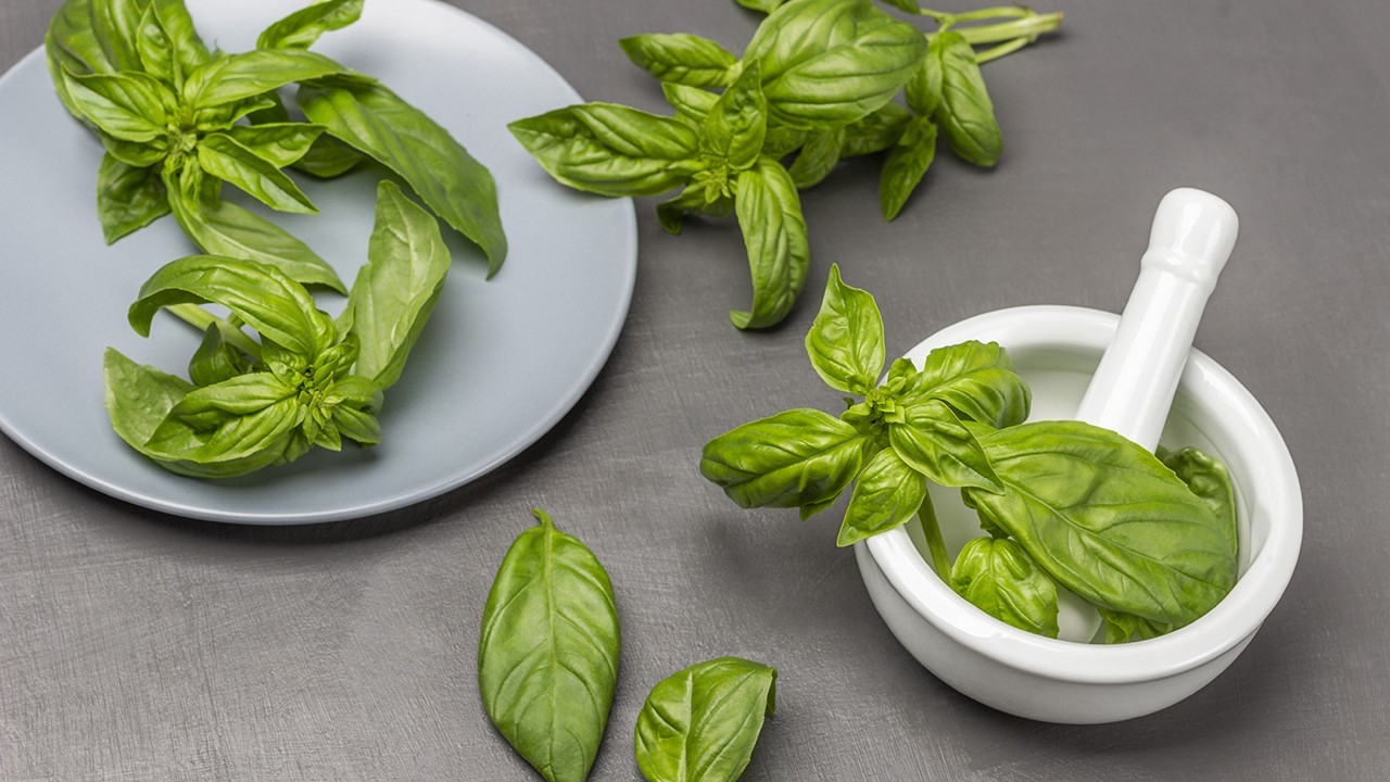 바질, 로즈마리 등 허브 속 항산화제가 냄새를 유발하는 박테리아를 제거한다｜출처: 게티이미지뱅크