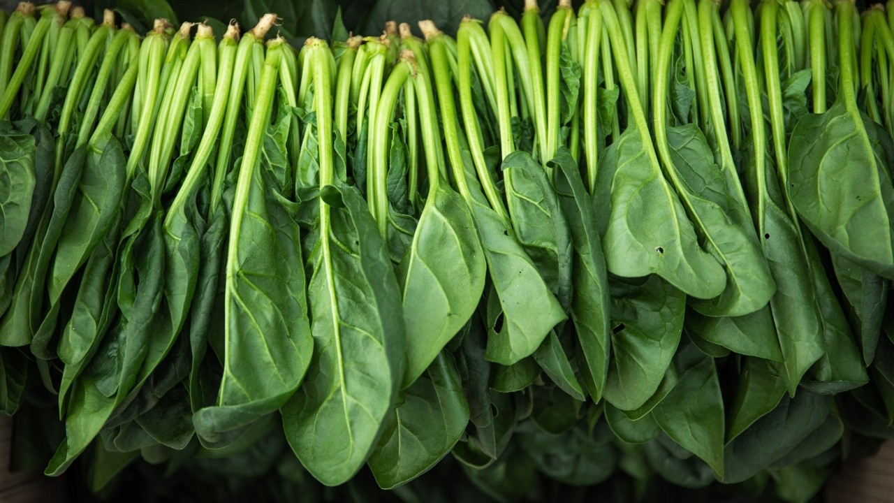 시금치는 건강 효능이 많은 녹색 채소다｜출처: 클립아트코리아