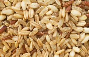 밥이 보약? 쌀의 핵심, ‘쌀눈’이 보약이다!